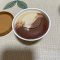 ハーゲンダッツ CREAMY GELATO ピスタチオ＆カカオ 商品写真 5枚目