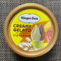 ハーゲンダッツ CREAMY GELATO ピスタチオ＆カカオ 商品写真 5枚目