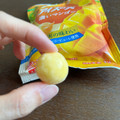 江崎グリコ アイスの実 濃いマンゴー 商品写真 3枚目