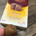 ゴディバ ショコラフォンデュ ミルクチョコレート 商品写真 1枚目