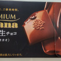 ロッテ プレミアムガーナ 濃厚生チョコレート 芳醇カカオ 商品写真 5枚目