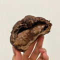 ローソン Uchi Cafe’ コクふわツインシュー 濃厚ショコラ 商品写真 2枚目