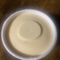 ハーゲンダッツ GREEN CRAFT 豆乳バニラ 商品写真 3枚目