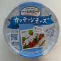 雪印メグミルク 北海道100 カッテージチーズ 商品写真 1枚目