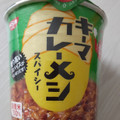 日清食品 日清キーマカレーメシ スパイシー 商品写真 1枚目