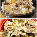 トロナ すき家 牛カルビ丼の具 商品写真 5枚目