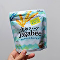 カルビー 太めウェーブJagabee 爽やかサワクリオニオン味 商品写真 1枚目