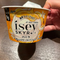 日本ルナ Isey SKYR バニラ オレンジピール入りソース 商品写真 1枚目