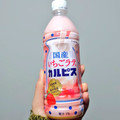 アサヒ 国産いちごラテ＆カルピス 商品写真 1枚目