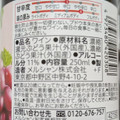 セブンプレミアム 酸化防止剤無添加赤ワイン 商品写真 2枚目