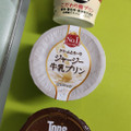 HOKUNYU トップス チョコレートプリン 商品写真 3枚目