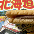 森永製菓 るるぶサンドクッキー 札幌シメパフェ味 商品写真 4枚目