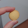 ブルボン プチ ソルティバタークッキー 商品写真 3枚目