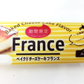 YKベーキング ベイクドチーズケーキフランス 商品写真 5枚目