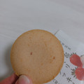 チーズガーデン 御用邸 ストロベリーチーズクッキー 商品写真 3枚目