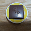 ロッテ プレミアムガーナ 濃厚生チョコレート 芳醇ミルク 商品写真 2枚目