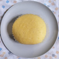木村屋 ジャンボむしケーキ レアチーズ 商品写真 5枚目
