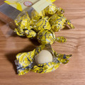 ガヴァルニー ボリータスチョコレート ホワイトレモン 商品写真 2枚目