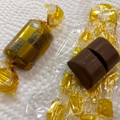 江崎グリコ 神戸ローストショコラ 濃厚ミルクチョコレート 商品写真 1枚目
