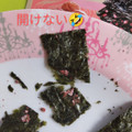 カンロ かろやかし 山本海苔店 海苔のはさみ焼き 梅味 商品写真 4枚目