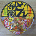 日清食品 日清のどん兵衛 カレーうどん 商品写真 4枚目