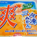 ロッテ 爽 冷凍みかん 商品写真 1枚目
