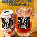 サッポロ 男梅サワー 商品写真 4枚目
