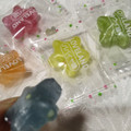 扇雀 スターキャンディー LOVE LAND 商品写真 3枚目