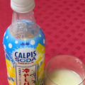 アサヒ カルピスソーダ 冷やしパイン 商品写真 3枚目