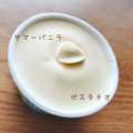 ハーゲンダッツ CREAMY GELATO ピスタチオ＆サマーバニラ 商品写真 5枚目