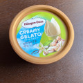 ハーゲンダッツ CREAMY GELATO ピスタチオ＆サマーバニラ 商品写真 2枚目