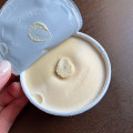 ハーゲンダッツ CREAMY GELATO ピスタチオ＆サマーバニラ 商品写真 3枚目