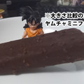 シャトレーゼ クッキー＆クランチバー チョコ 商品写真 1枚目