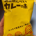 三真 ぬれせんべい カレー味 商品写真 1枚目