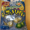 オキコパン 塩シークワーサー シーサーがいっぱい 商品写真 1枚目