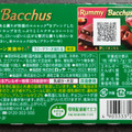 ロッテ バッカス 商品写真 2枚目