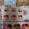 みやけ食品 プチプリン 商品写真 3枚目