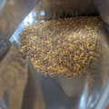 白子のり たまごかけごはんをふりかけしちゃいました だし醤油味 商品写真 2枚目