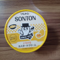 ソントン ファミリーカップ とろけるカスタードクリーム 商品写真 2枚目
