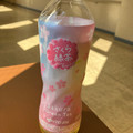 伊藤園 お～いお茶 〇やか さくら緑茶 商品写真 5枚目