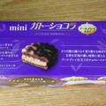 森永製菓 ミニガトーショコラ アールグレイ 商品写真 3枚目