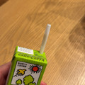 キッコーマン 豆乳飲料 ピスタチオ 商品写真 3枚目
