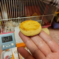 イトウ製菓 コンフェッティ ガレットブルトンヌ 商品写真 2枚目
