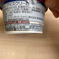 ハーゲンダッツ ザ・ミルク 商品写真 5枚目