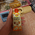 リプトン はちみつ紅茶ラテ 商品写真 1枚目