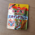 カルビー じゃがりこ辛いやつ 大辛インドカレー味 商品写真 1枚目