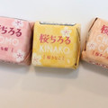 チロル チロルチョコ 桜ちろるアソート 商品写真 1枚目