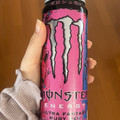 モンスターエナジー ウルトラ ファンタジー ルビー レッド 商品写真 5枚目