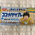 日清シスコ ココナッツサブレ 大ピンチ ぎゅうにゅう味 商品写真 2枚目