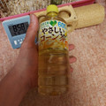 サントリー GREEN DA・KA・RA やさしいコーン茶 商品写真 3枚目